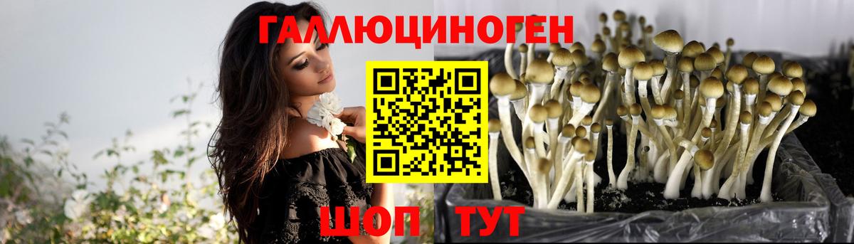 Галлюциногенные грибы Magic Shrooms  Вход с VPN  Карпинск 